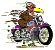 buzzard_on_bike